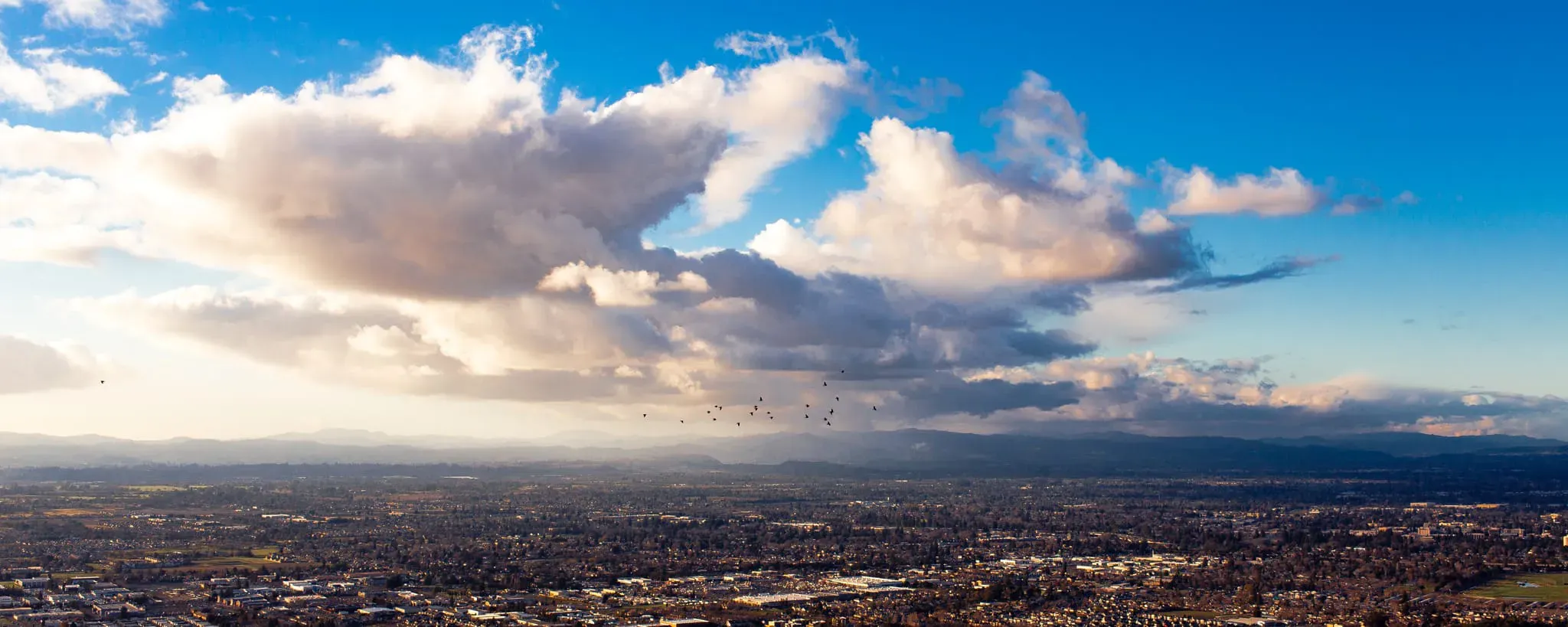 Horizons — photo 3