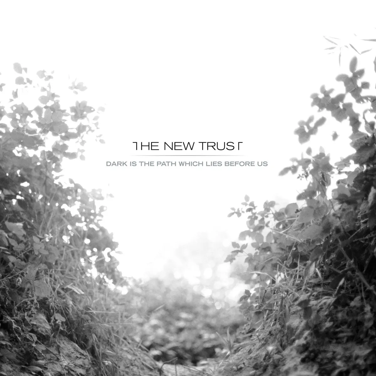 The New Trust — Dark is the Path Which Lies Before Us